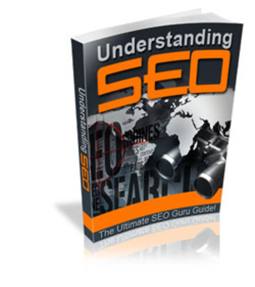 Product picture Understanding SEO